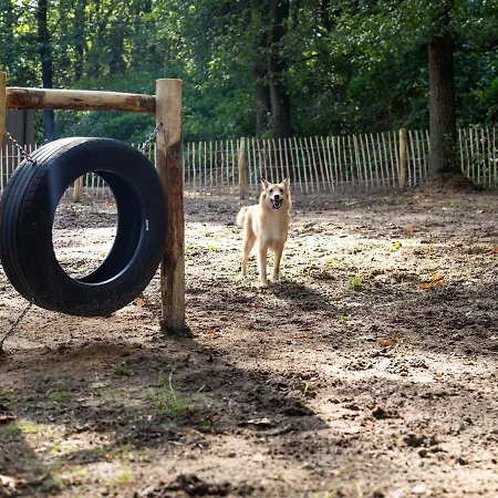 With A Sauna And Spa, In A Located Near The Veluwe * Beekbergen