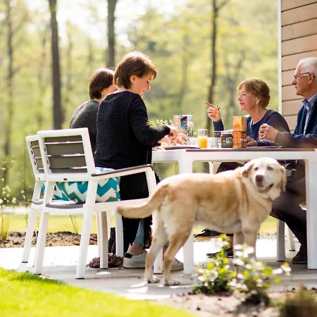 With A Sauna And Spa, In A Located Near The Veluwe Chalet